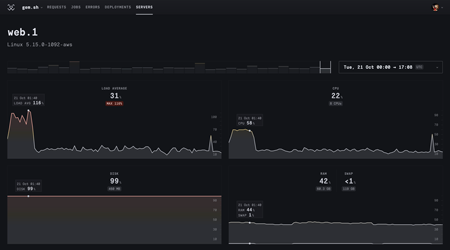 RoRvsWild servers monitoring